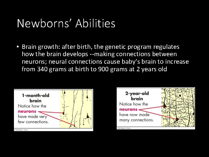 Newborns’ Abilities • Brain growth: after birth, the genetic program regulates how the brain