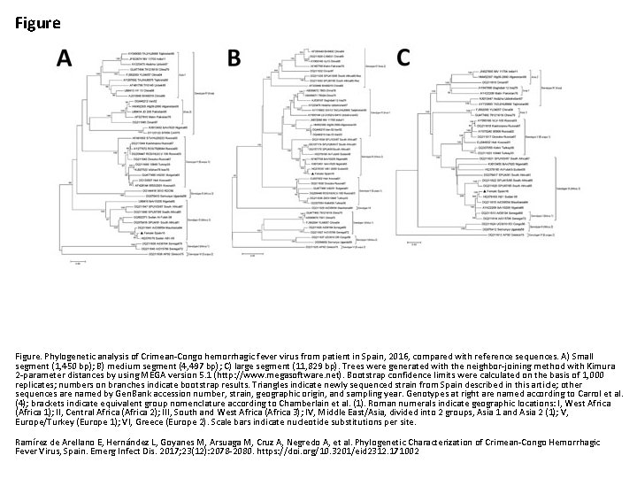 Figure. Phylogenetic analysis of Crimean-Congo hemorrhagic fever virus from patient in Spain, 2016, compared