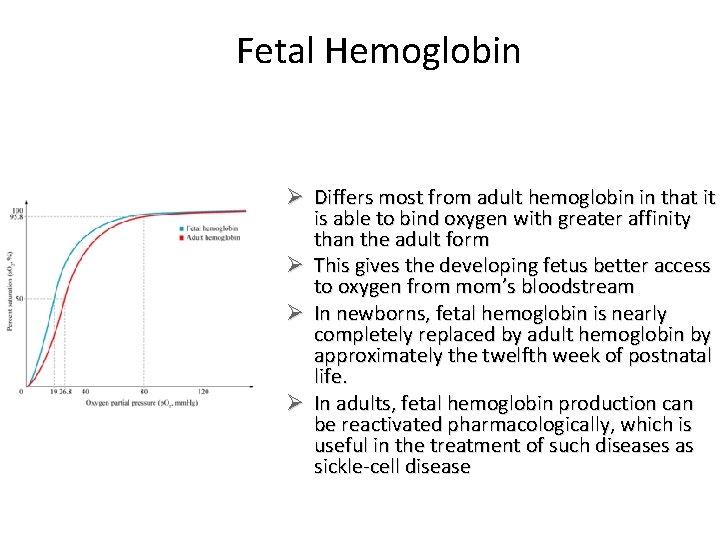 Fetal Hemoglobin Ø Differs most from adult hemoglobin in that it is able to