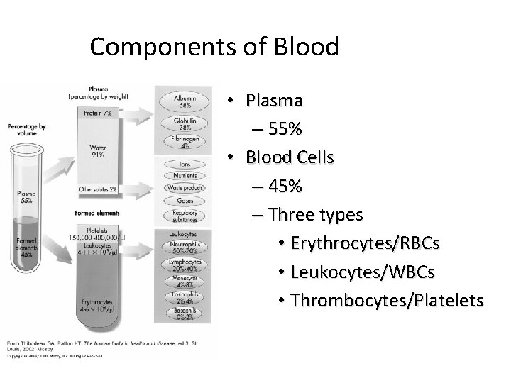 Components of Blood • Plasma – 55% • Blood Cells – 45% – Three