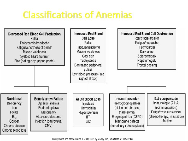Classifications of Anemias 