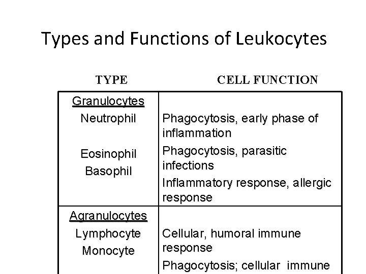 Types and Functions of Leukocytes TYPE Granulocytes Neutrophil Eosinophil Basophil Agranulocytes Lymphocyte Monocyte CELL