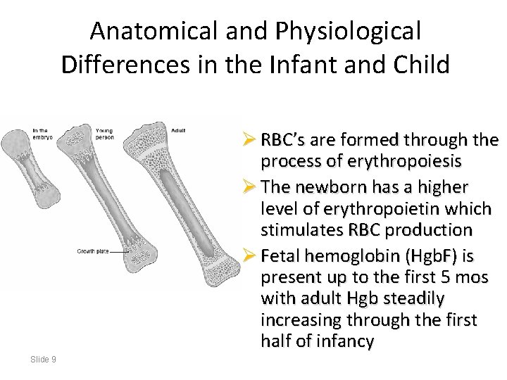 Anatomical and Physiological Differences in the Infant and Child Ø RBC’s are formed through