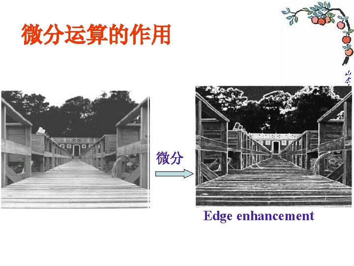 微分运算的作用 微分 Edge enhancement 