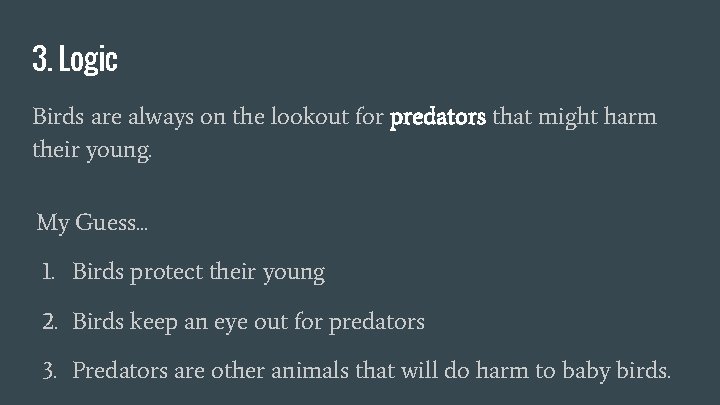 3. Logic Birds are always on the lookout for predators that might harm their 3. Logic Birds are always on the lookout for predators that might harm their