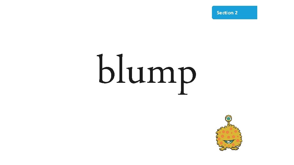 Section 2 blump 