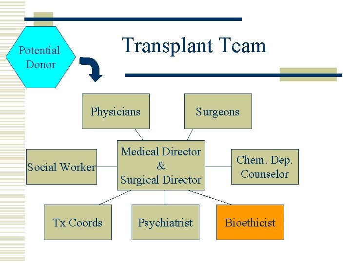 Transplant Team Potential Donor Physicians Social Worker Tx Coords Surgeons Medical Director & Surgical
