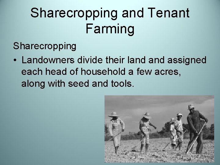 Sharecropping and Tenant Farming Sharecropping • Landowners divide their land assigned each head of