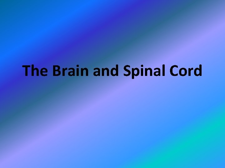 The Brain and Spinal Cord 