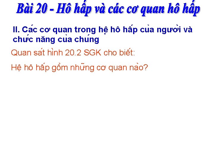 II. Ca c cơ quan trong hê hô hâ p cu a ngươ i