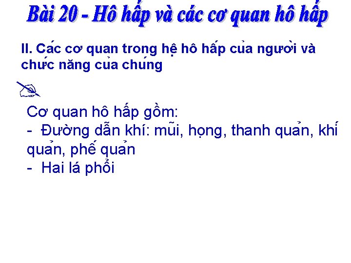 II. Ca c cơ quan trong hê hô hâ p cu a ngươ i