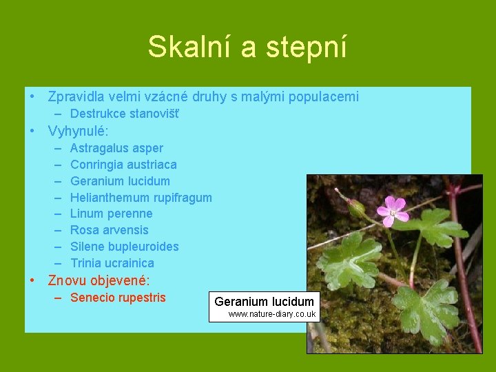 Skalní a stepní • Zpravidla velmi vzácné druhy s malými populacemi – Destrukce stanovišť