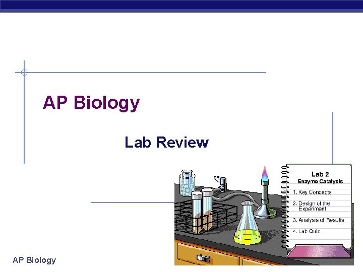 AP Biology Lab Review AP Biology 