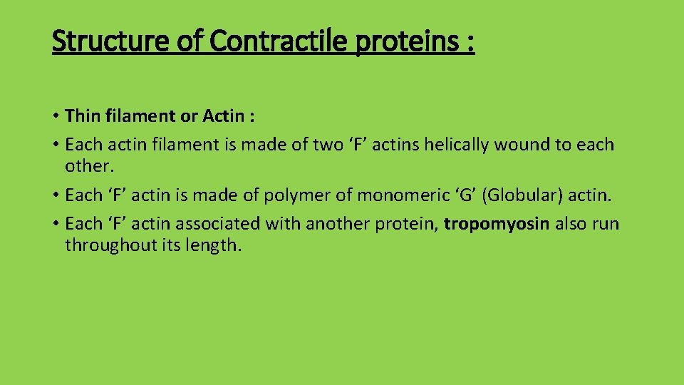 Structure of Contractile proteins : • Thin filament or Actin : • Each actin