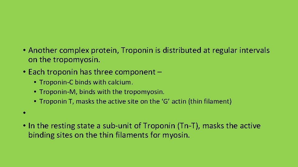  • Another complex protein, Troponin is distributed at regular intervals on the tropomyosin.