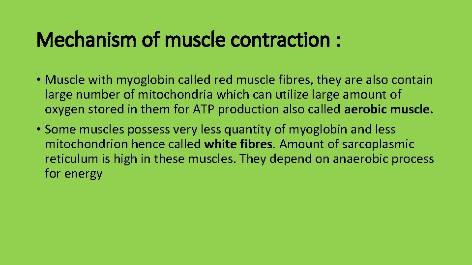 Mechanism of muscle contraction : • Muscle with myoglobin called red muscle fibres, they