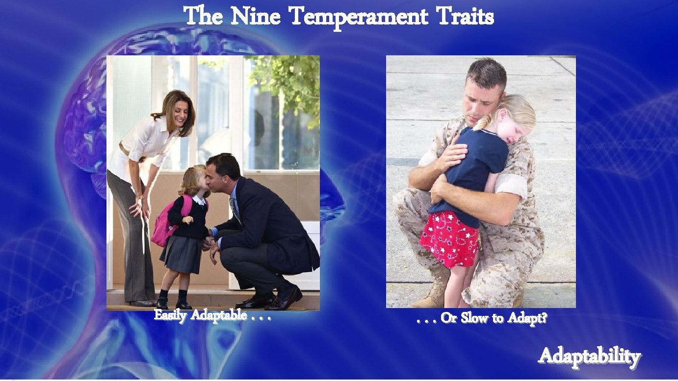The Nine Temperament Traits Easily Adaptable. . . Or Slow to Adapt? Adaptability 