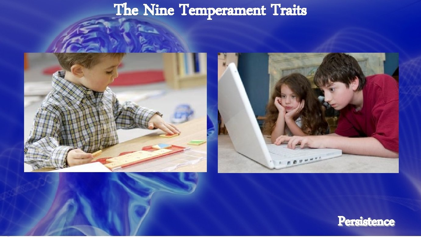 The Nine Temperament Traits Persistence 