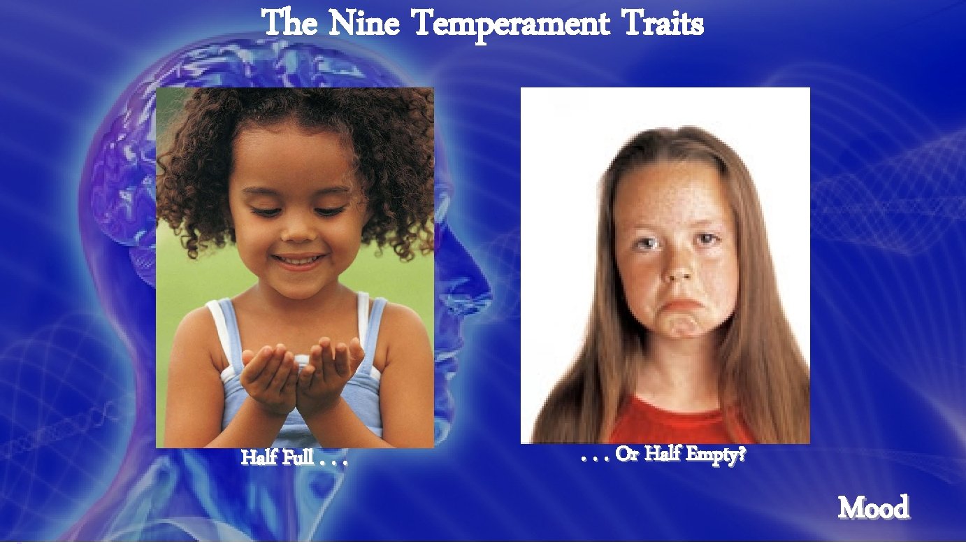 The Nine Temperament Traits Half Full. . . Or Half Empty? Mood 