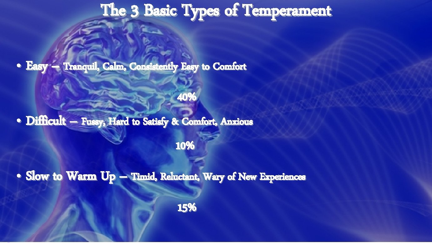 The 3 Basic Types of Temperament • Easy – Tranquil, Calm, Consistently Easy to
