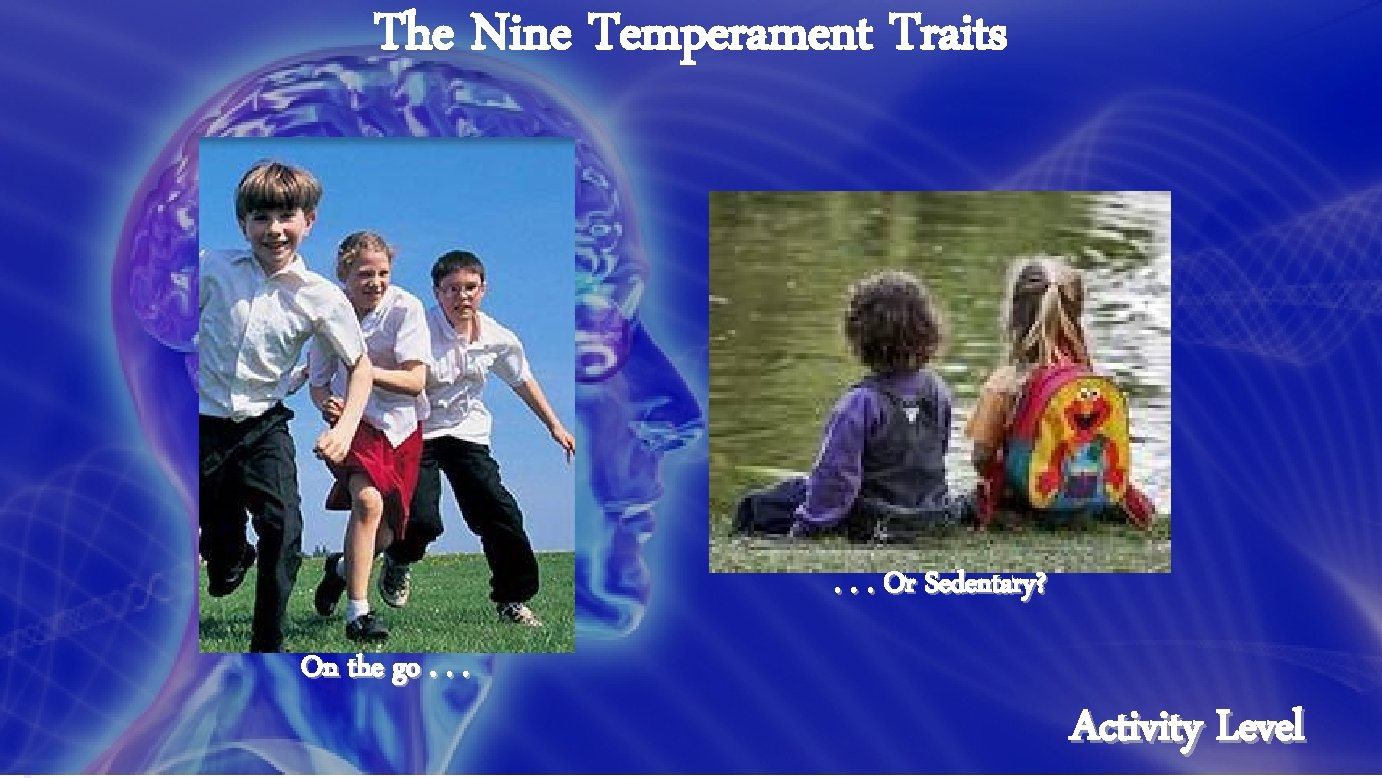The Nine Temperament Traits . . . Or Sedentary? On the go. . .