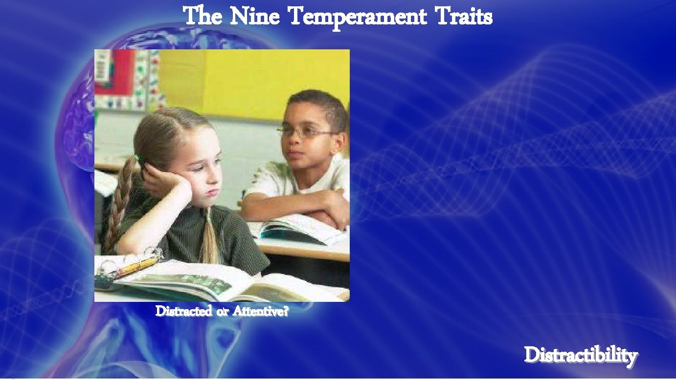 The Nine Temperament Traits Distracted or Attentive? Distractibility 