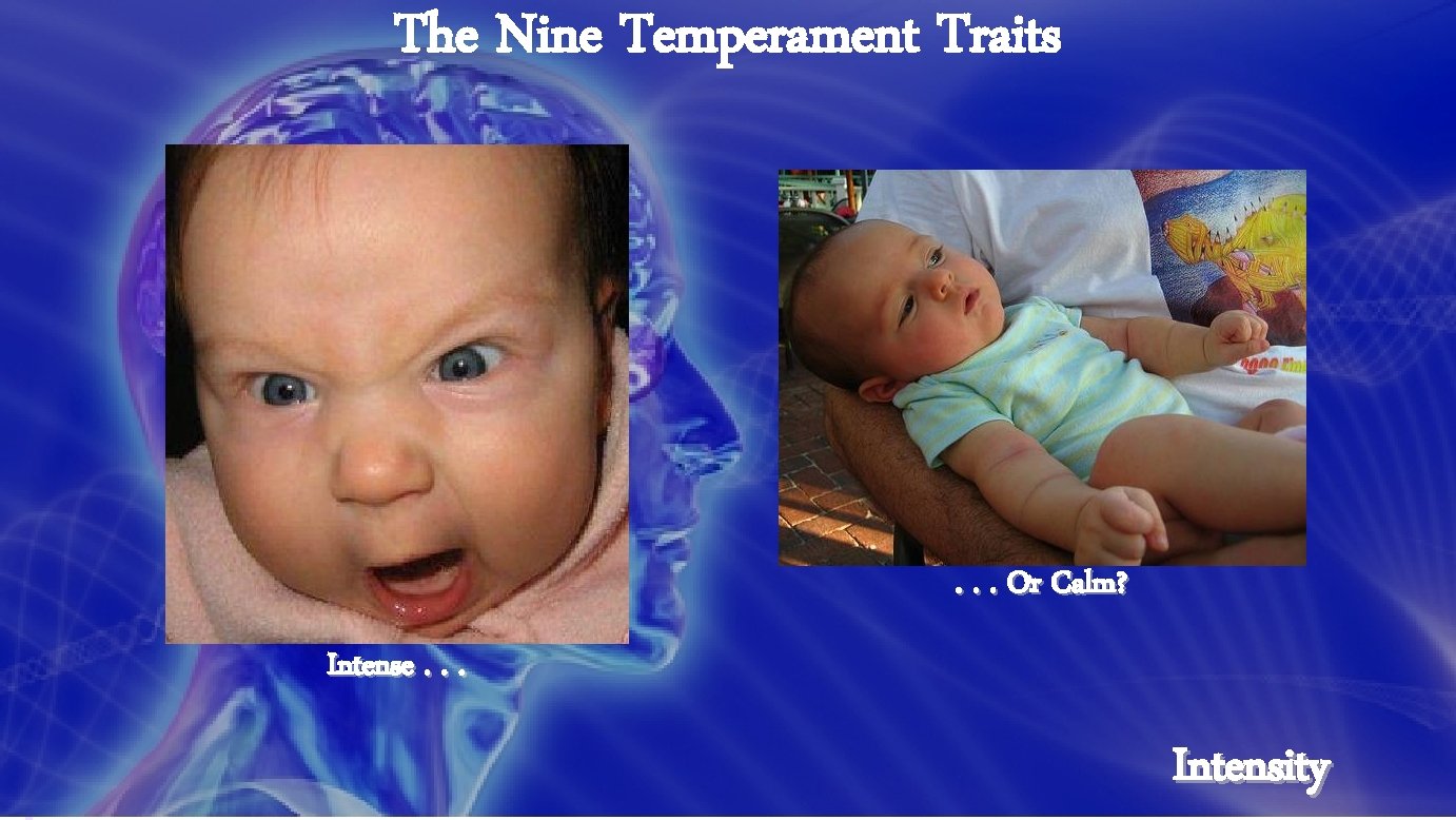 The Nine Temperament Traits . . . Or Calm? Intense. . . Intensity 