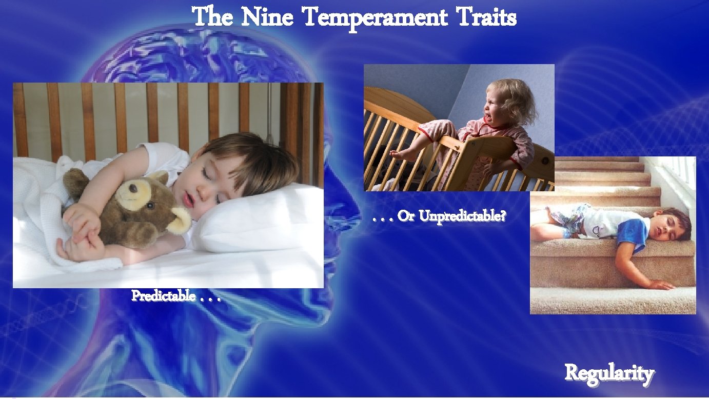 The Nine Temperament Traits . . . Or Unpredictable? Predictable. . . Regularity 