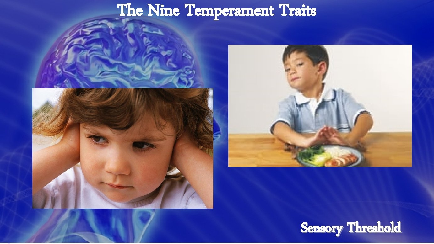 The Nine Temperament Traits Sensory Threshold 