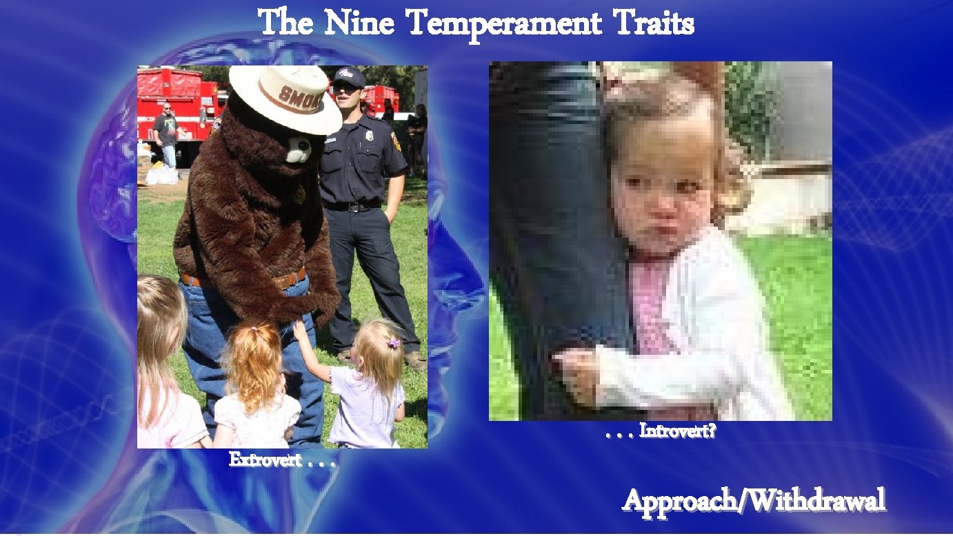 The Nine Temperament Traits Extrovert. . . Introvert? Approach/Withdrawal 