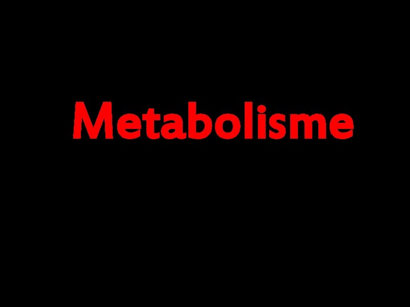 Metabolisme 