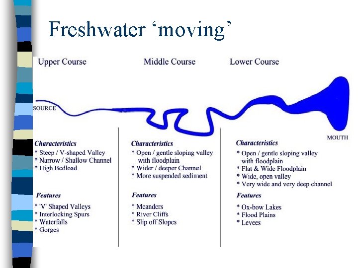 EcologyBiomes Organisms and Their Environments Objectives I can