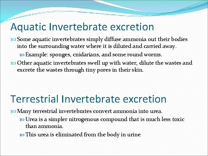 Aquatic Invertebrate excretion Some aquatic invertebrates simply diffuse ammonia out their bodies into the