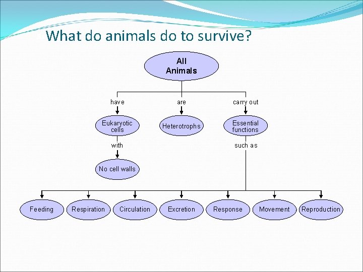 What do animals do to survive? Section 26 -1 All Animals have are carry