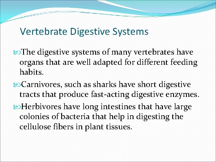 Vertebrate Digestive Systems The digestive systems of many vertebrates have organs that are well