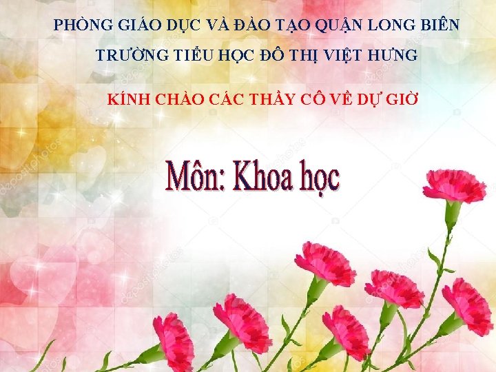 PHÒNG GIÁO DỤC VÀ ĐÀO TẠO QUẬN LONG BIÊN TRƯỜNG TIỂU HỌC ĐÔ THỊ