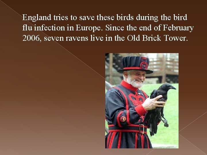 England tries to save these birds during the bird flu infection in Europe. Since