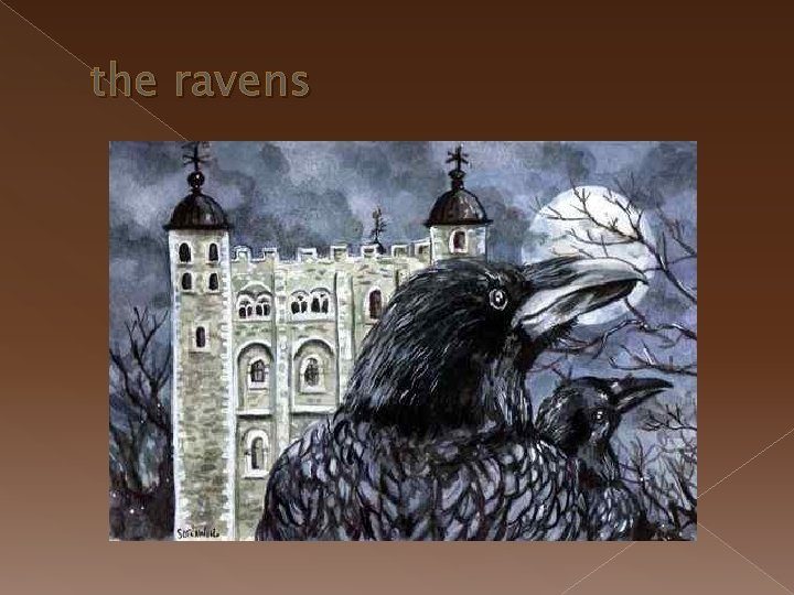 the ravens 