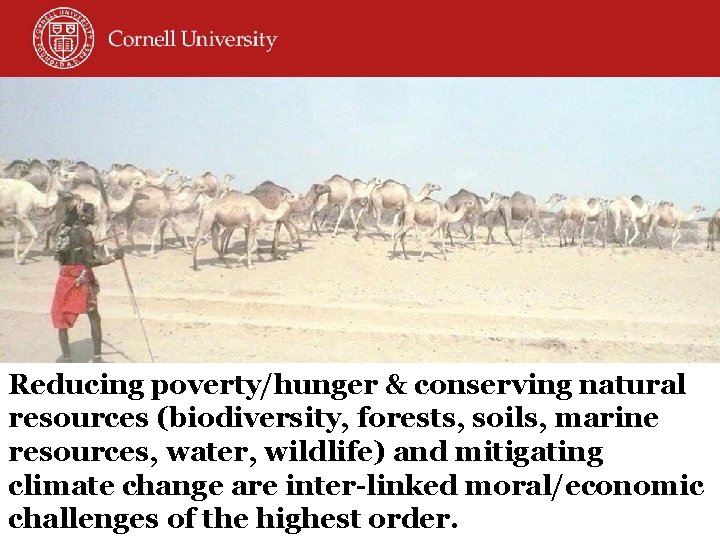 Reducing poverty/hunger & conserving natural resources (biodiversity, forests, soils, marine resources, water, wildlife) and