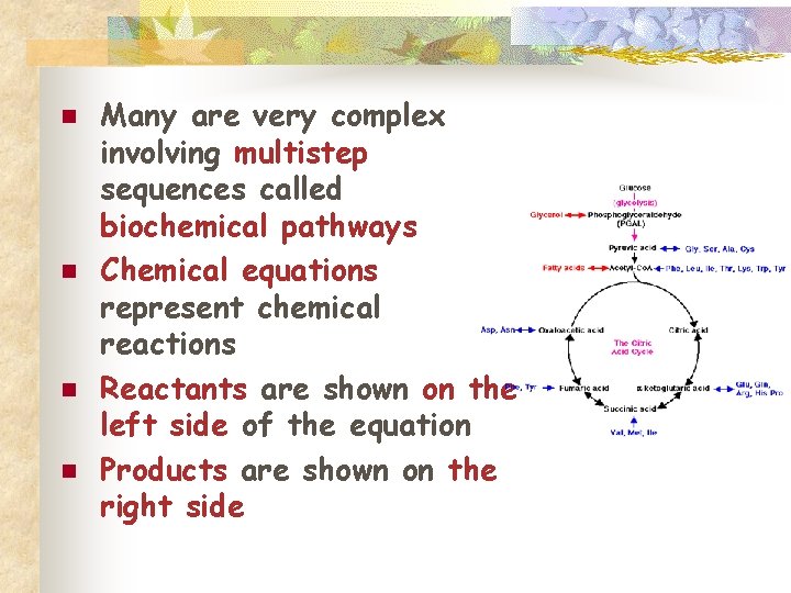 n n Many are very complex involving multistep sequences called biochemical pathways Chemical equations