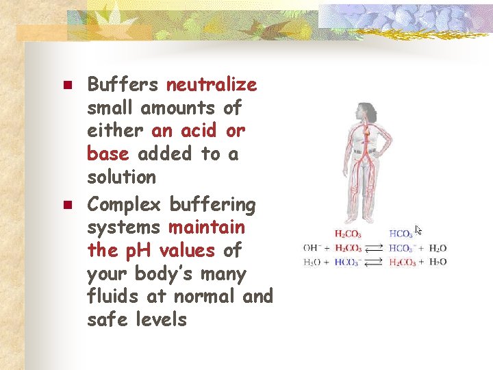 n n Buffers neutralize small amounts of either an acid or base added to