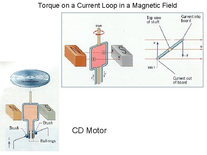 Torque on a Current Loop in a Magnetic Field CD Motor 