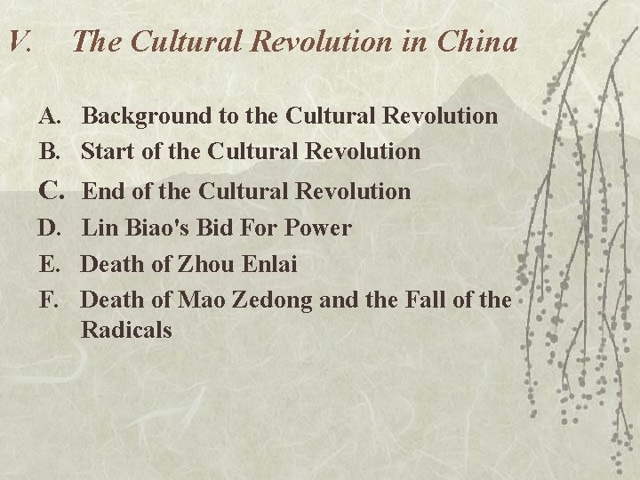 V. The Cultural Revolution in China A. Background to the Cultural Revolution B. Start