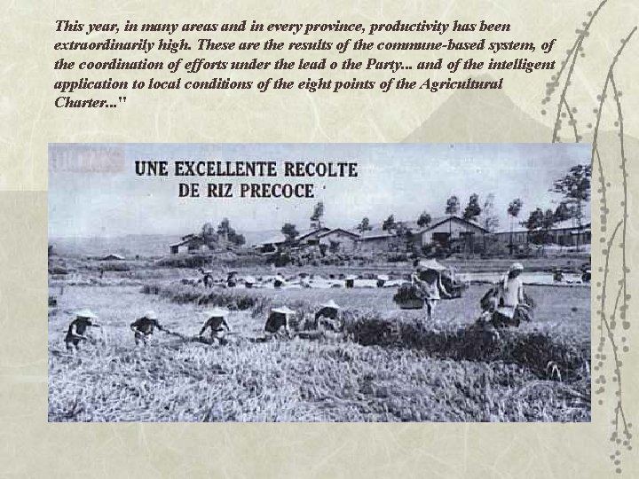 This year, in many areas and in every province, productivity has been extraordinarily high.