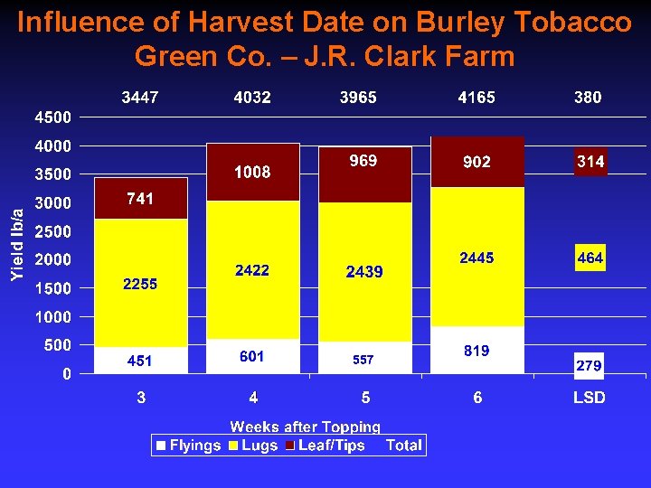 Influence of Harvest Date on Burley Tobacco Green Co. – J. R. Clark Farm