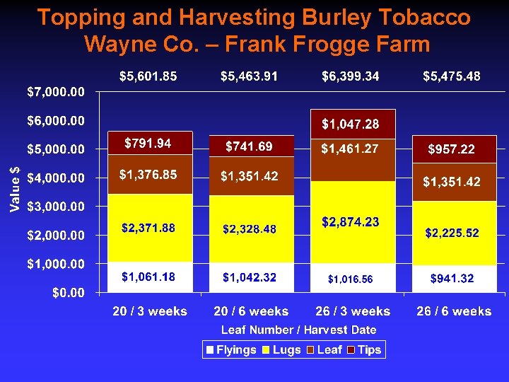 Topping and Harvesting Burley Tobacco Wayne Co. – Frank Frogge Farm 