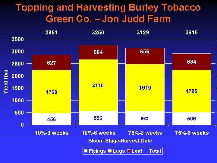 Topping and Harvesting Burley Tobacco Green Co. – Jon Judd Farm 