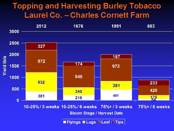 Topping and Harvesting Burley Tobacco Laurel Co. – Charles Cornett Farm 