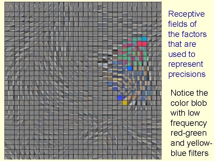 Receptive fields of the factors that are used to represent precisions Notice the color