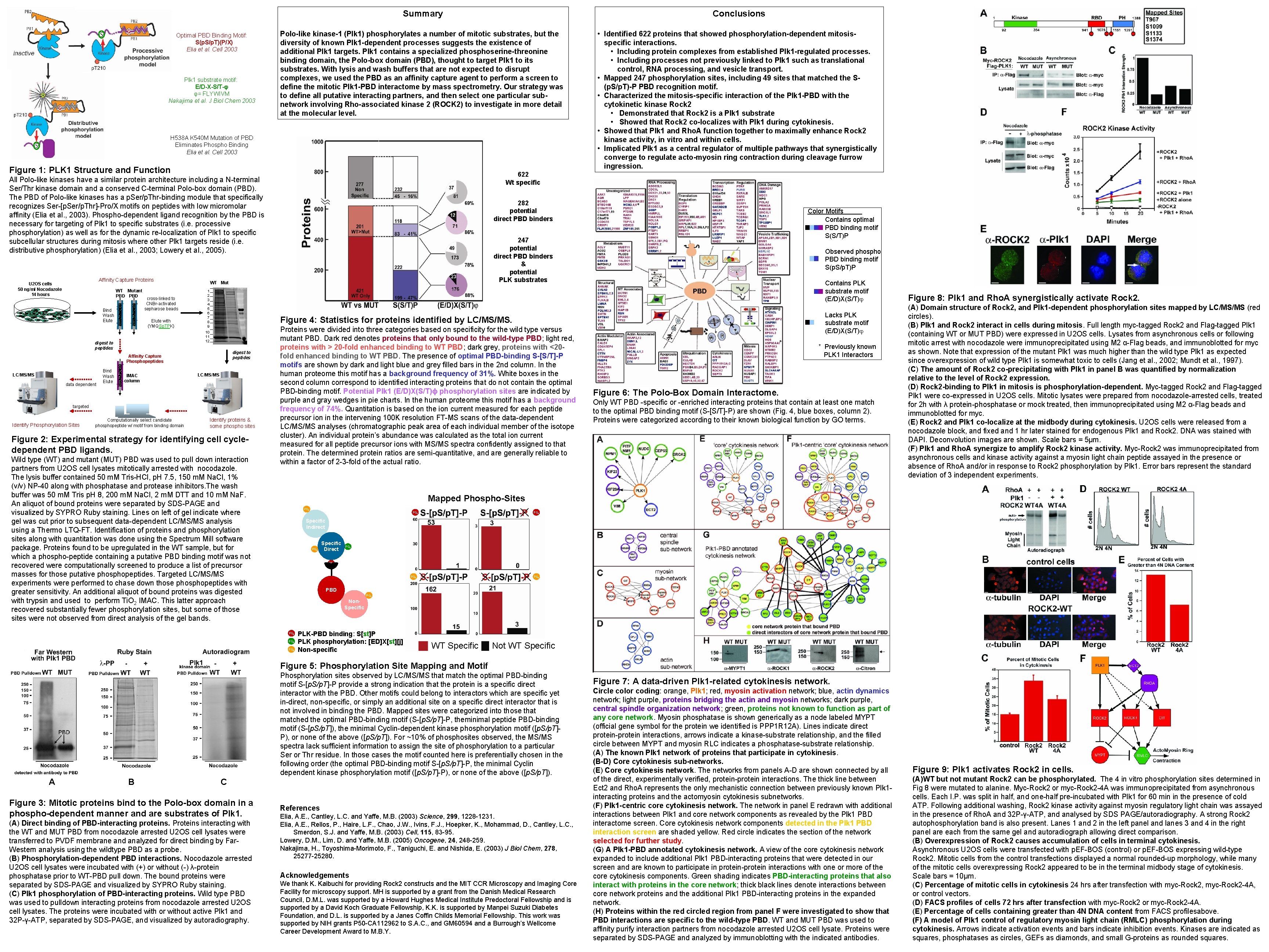 Optimal PBD Binding Motif: S(p. S/p. T)(P/X) Elia et al. Cell 2003 Plk 1